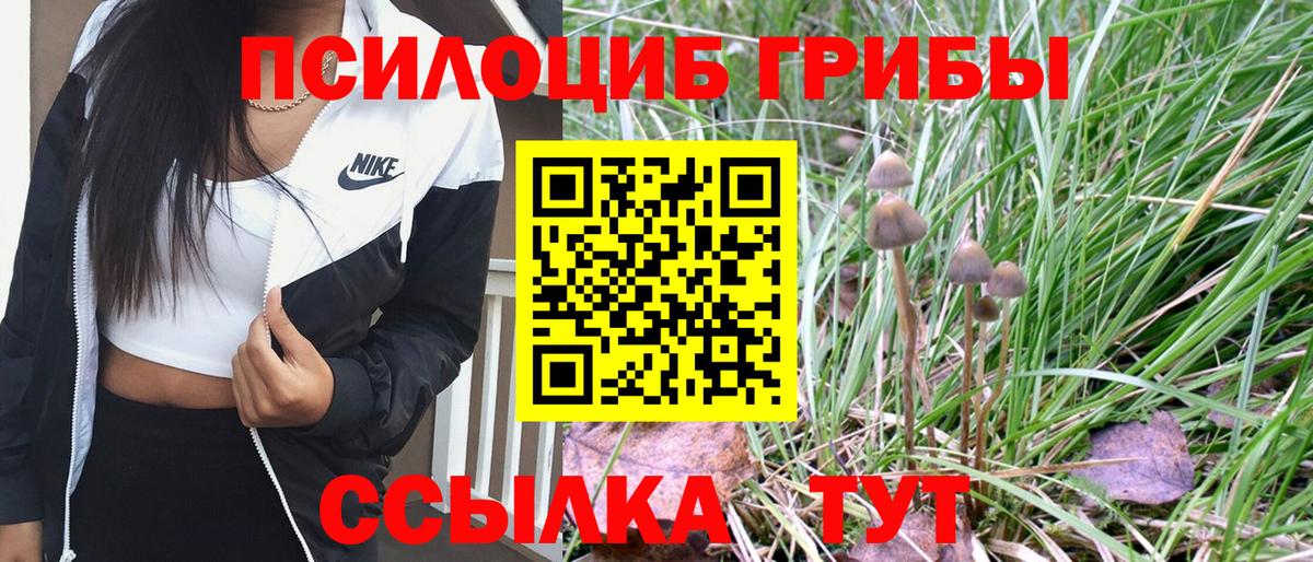 Галлюциногенные грибы Psilocybe Назрань
