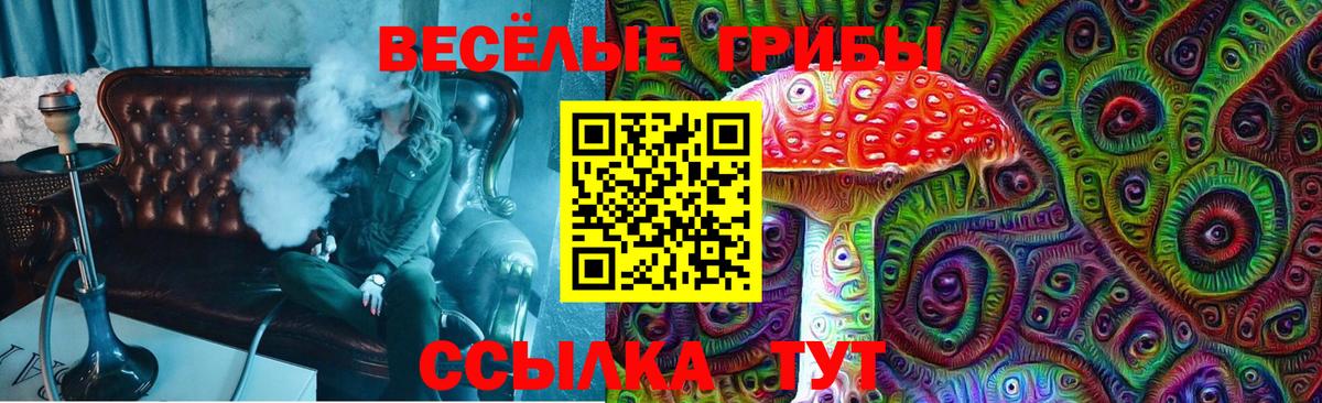 Псилоцибиновые грибы ЛСД  Галлюциногенные грибы GOLDEN TEACHER  Вход с VPN  Назрань 